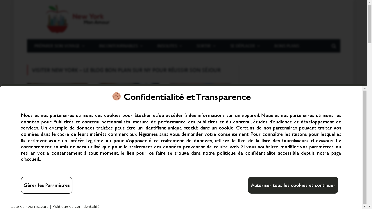 Capture d'écran de http://newyorkmonamour.fr/